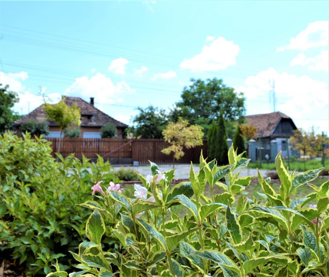 Rozsi Mama Sovata Exterior foto
